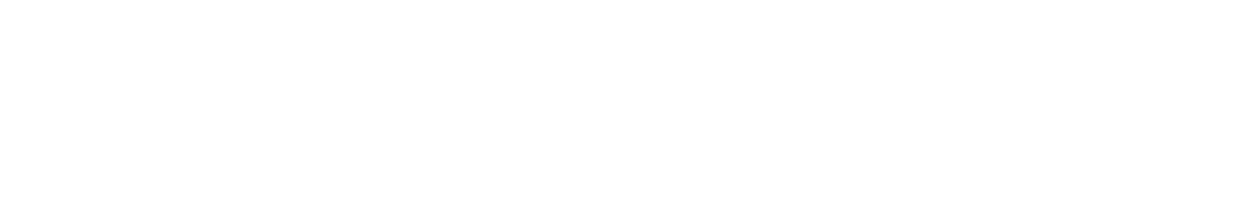 Eco Cept white Logo